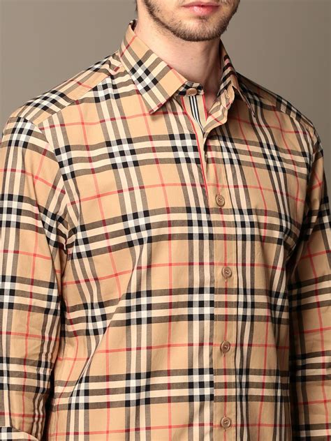 burberry color shirt